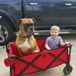 Meet your Posher, Rebecca